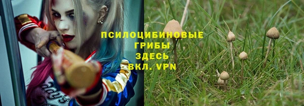 МДПВ Алексеевка